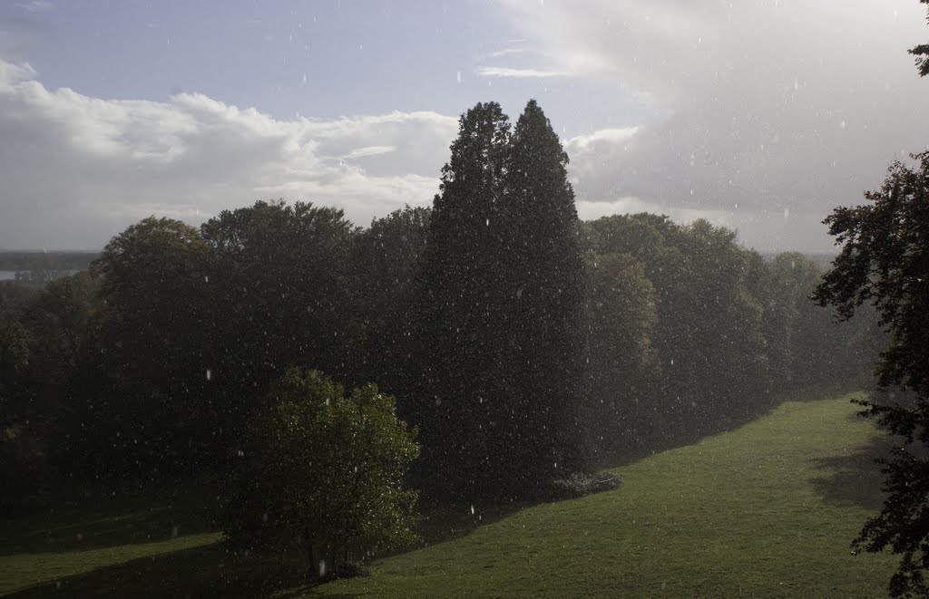 Park van Rhederoord in de regen