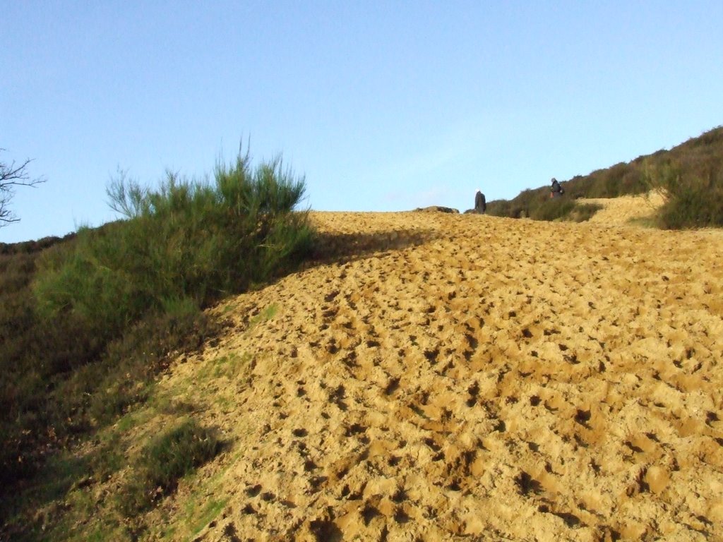 Posbank, natuurgebied