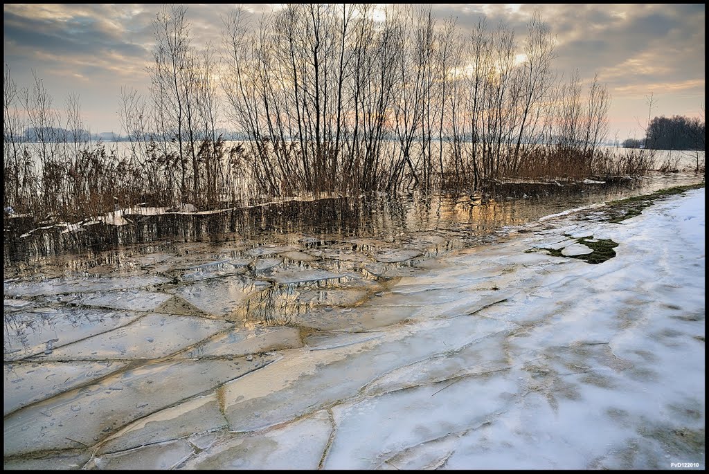 Rhederlaag; Gieseplas