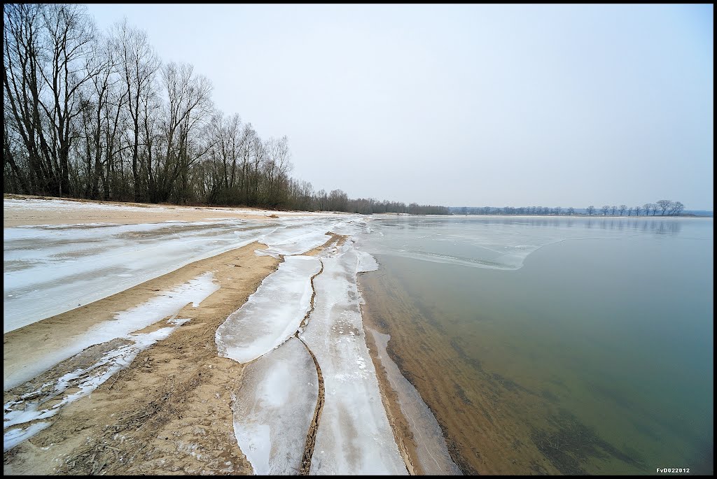 Gieseplas