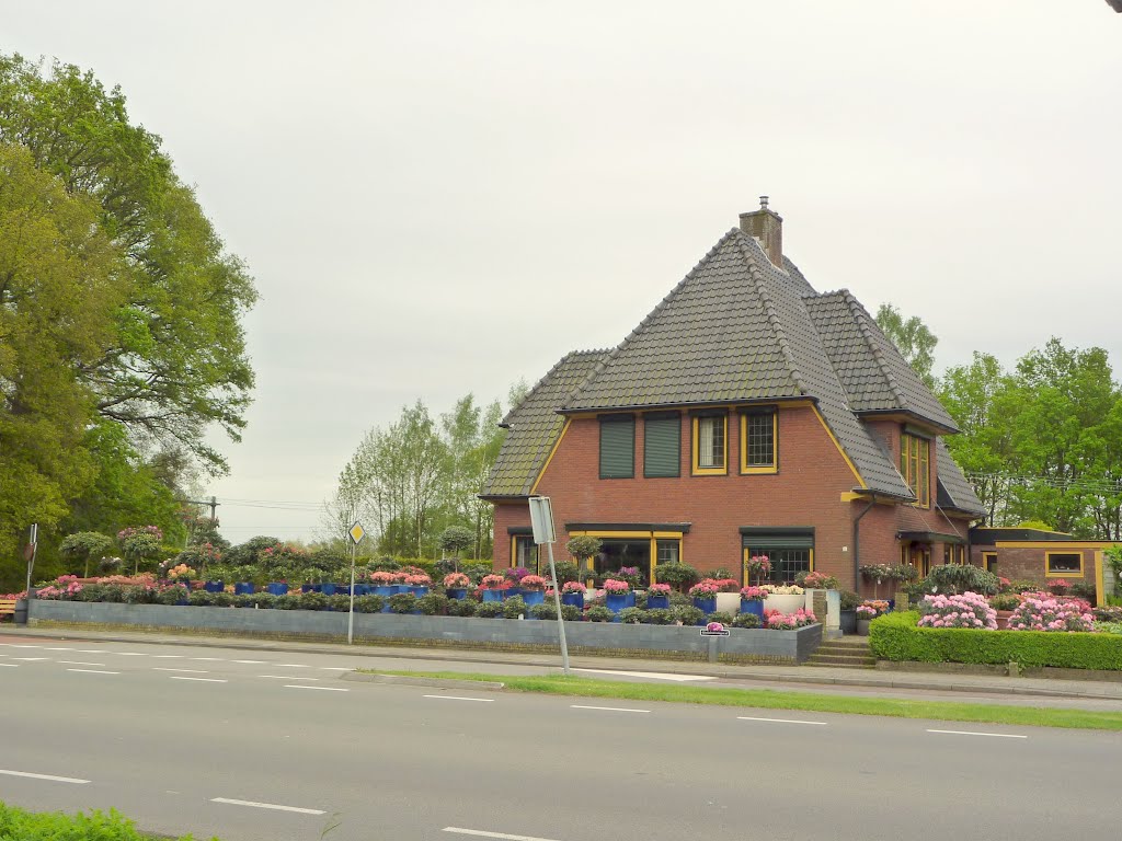 Rhodo showtuin