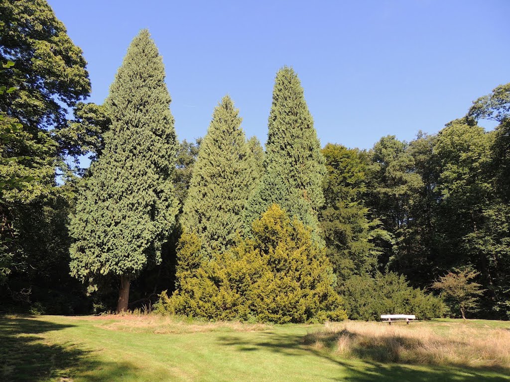 PARKTUIN bij Landhuis Rhederoord, De Steeg.