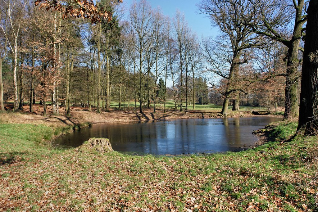 Duiven