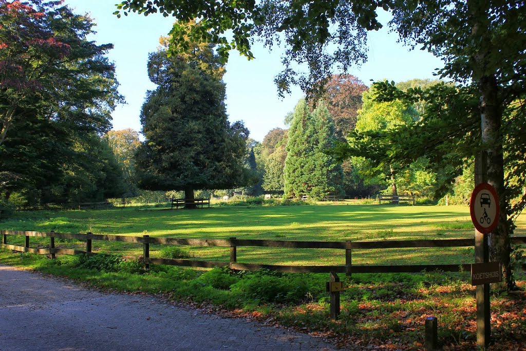 De veluwe