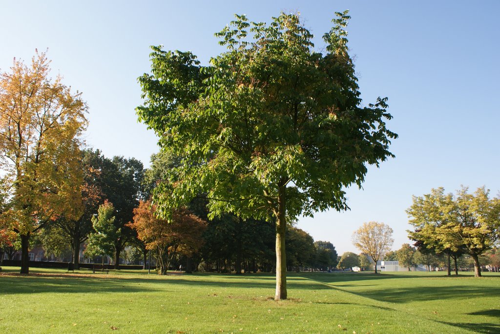 Venlo - Julianapark