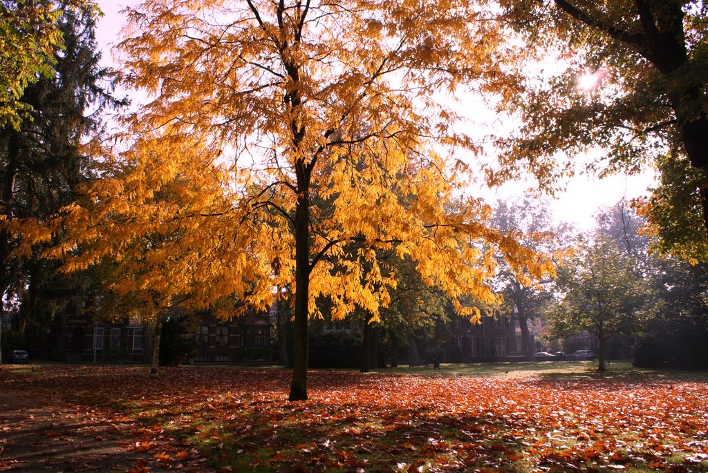 Venlo - Wilhelminapark