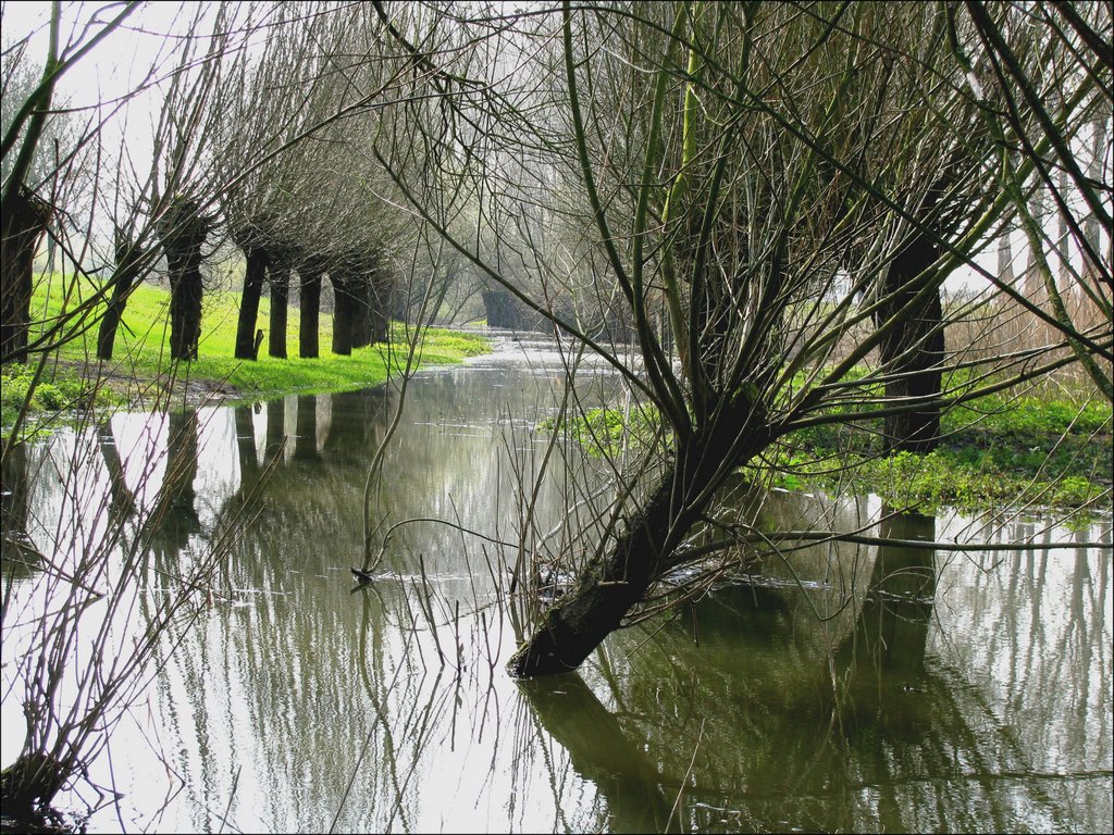 HOOGWATER