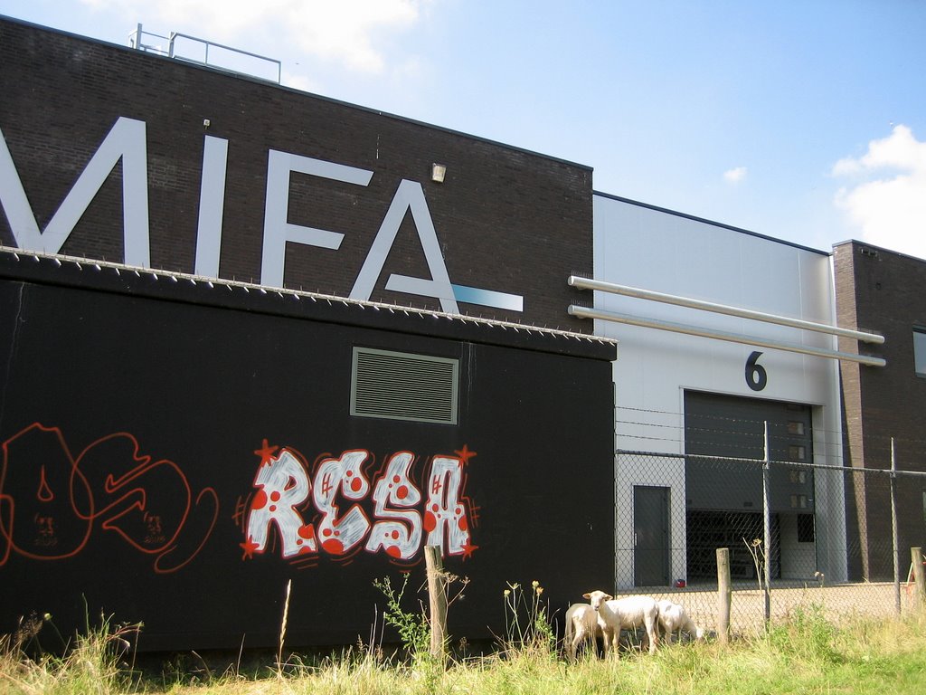 Mifa vanaf de Maas, Venlo