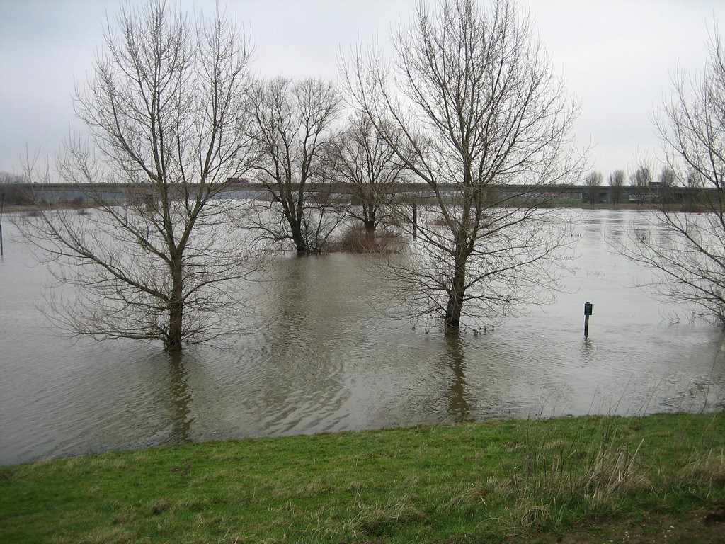 Hoog water jan. 2007
