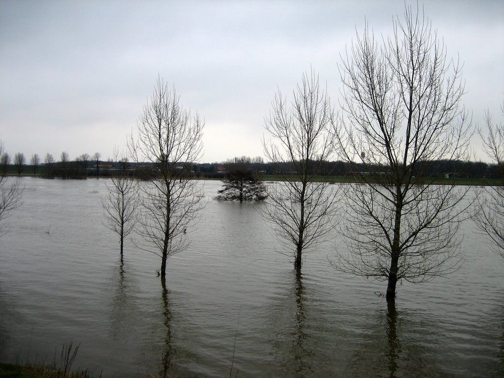Hoog water jan. 2007