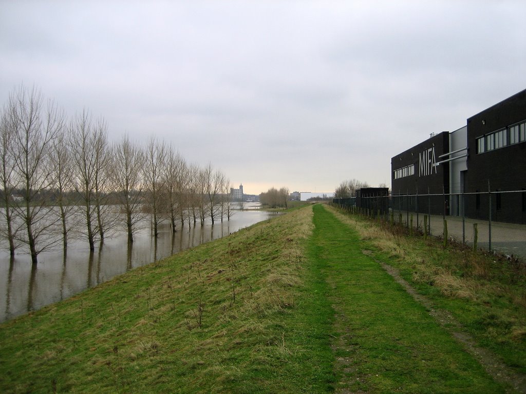 Hoog water jan. 2007
