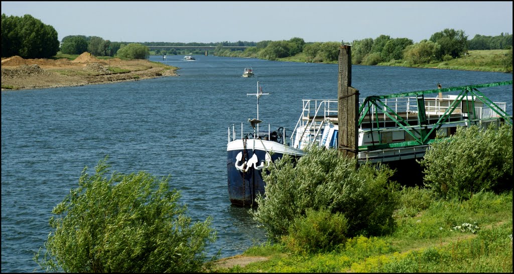 Maas bij Venlo