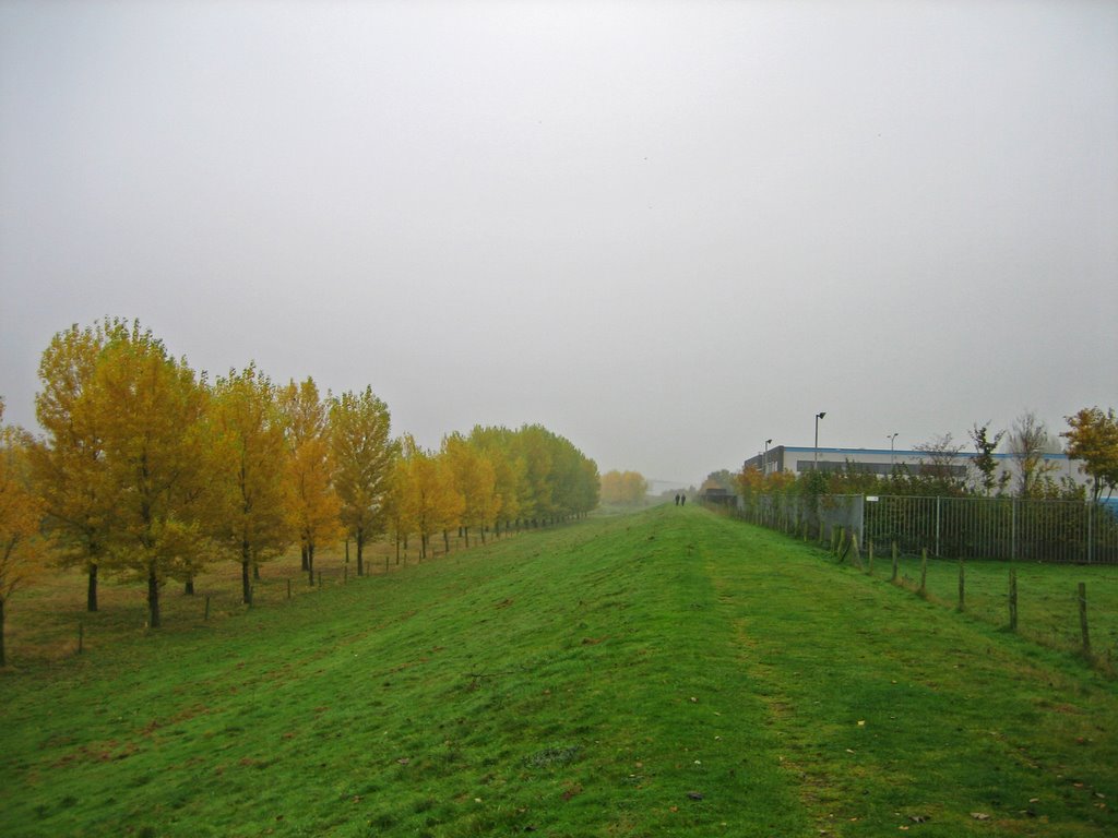 Dijk bij Maas in Venlo