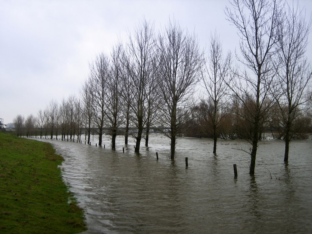 Maas bij Venlo, hoog water 10-12-2007
