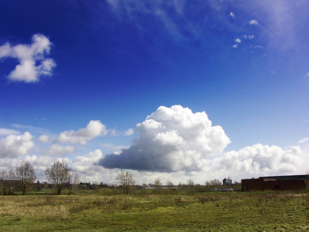 Little Cloud, Venlo