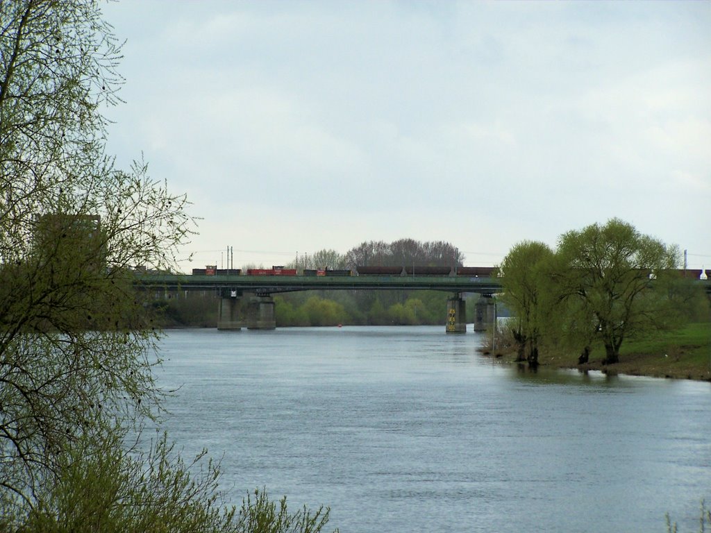 Venlo - Maasbrug