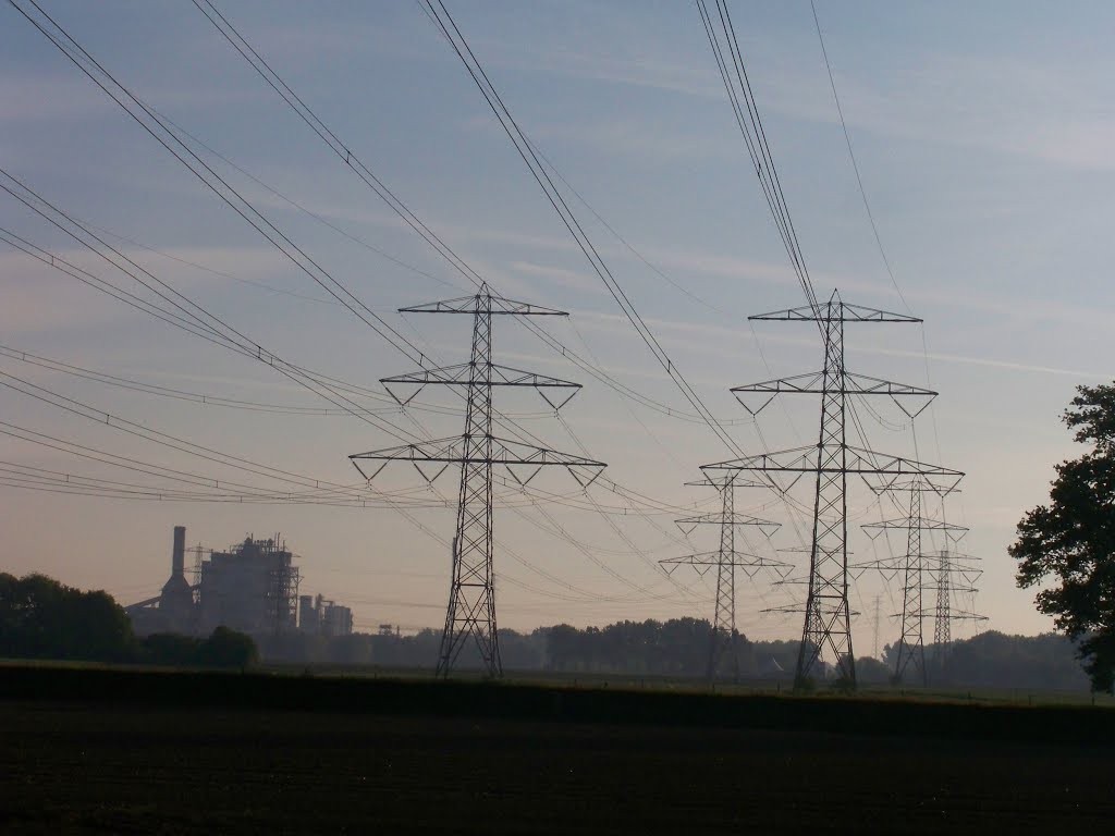 Horn bruist van energie