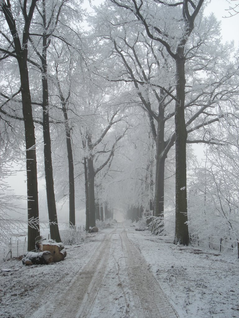 snow, horn