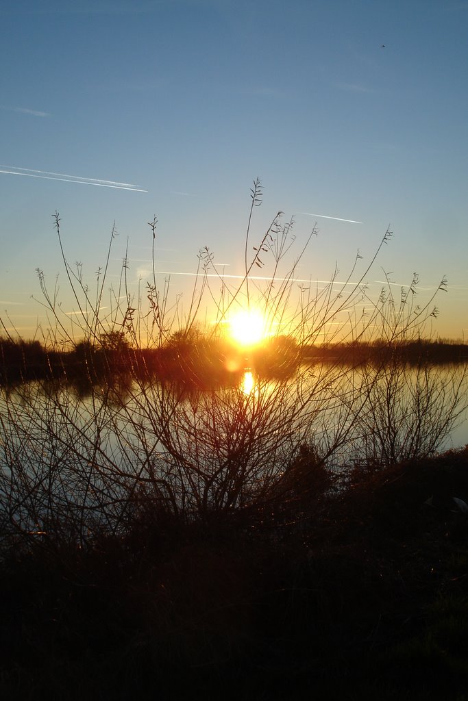 Zonsondergang over de Maas