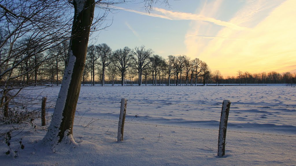 Winter sunrise