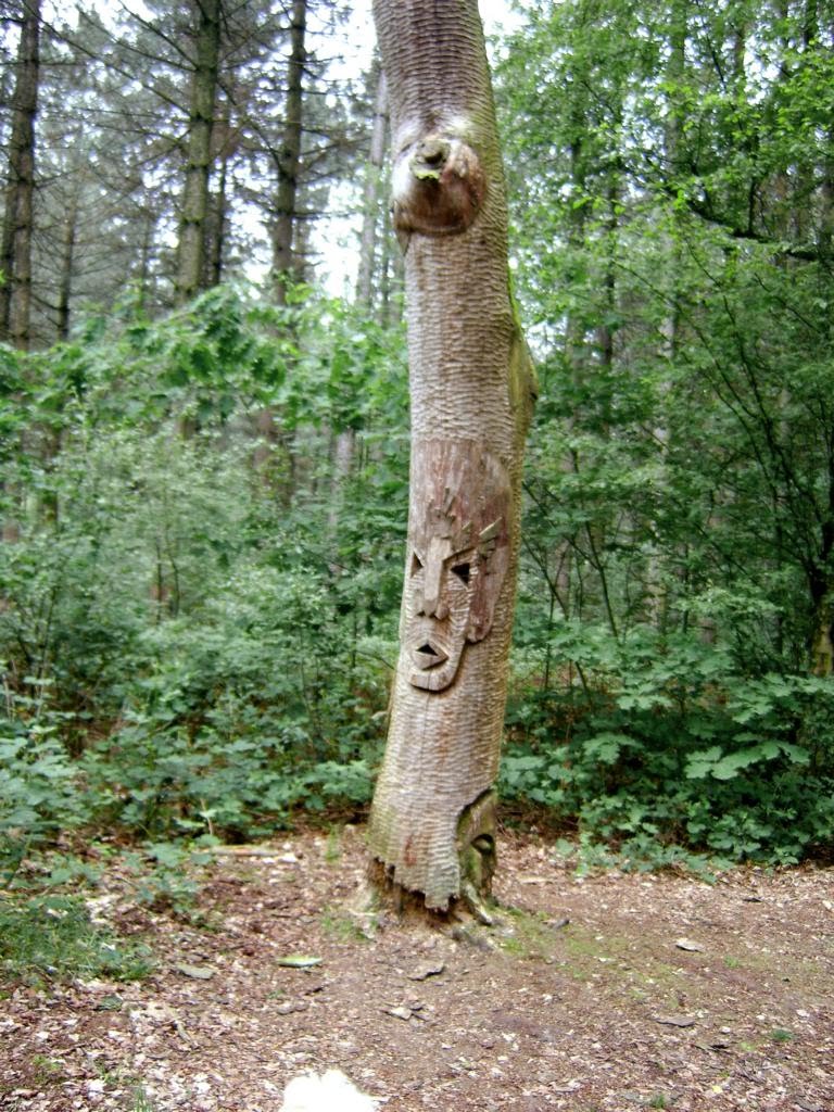 Gesicht