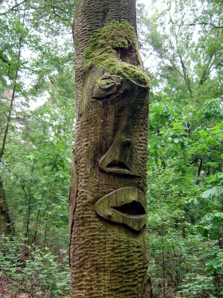 Baum mit Gesicht