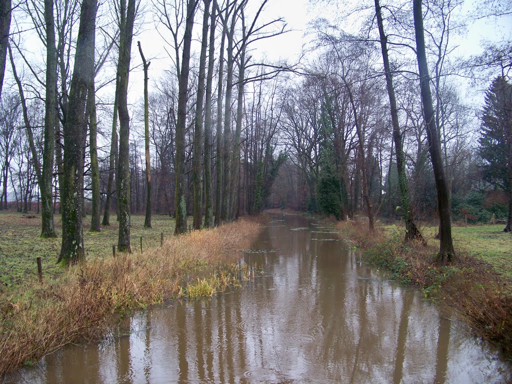 Belebos Haelen