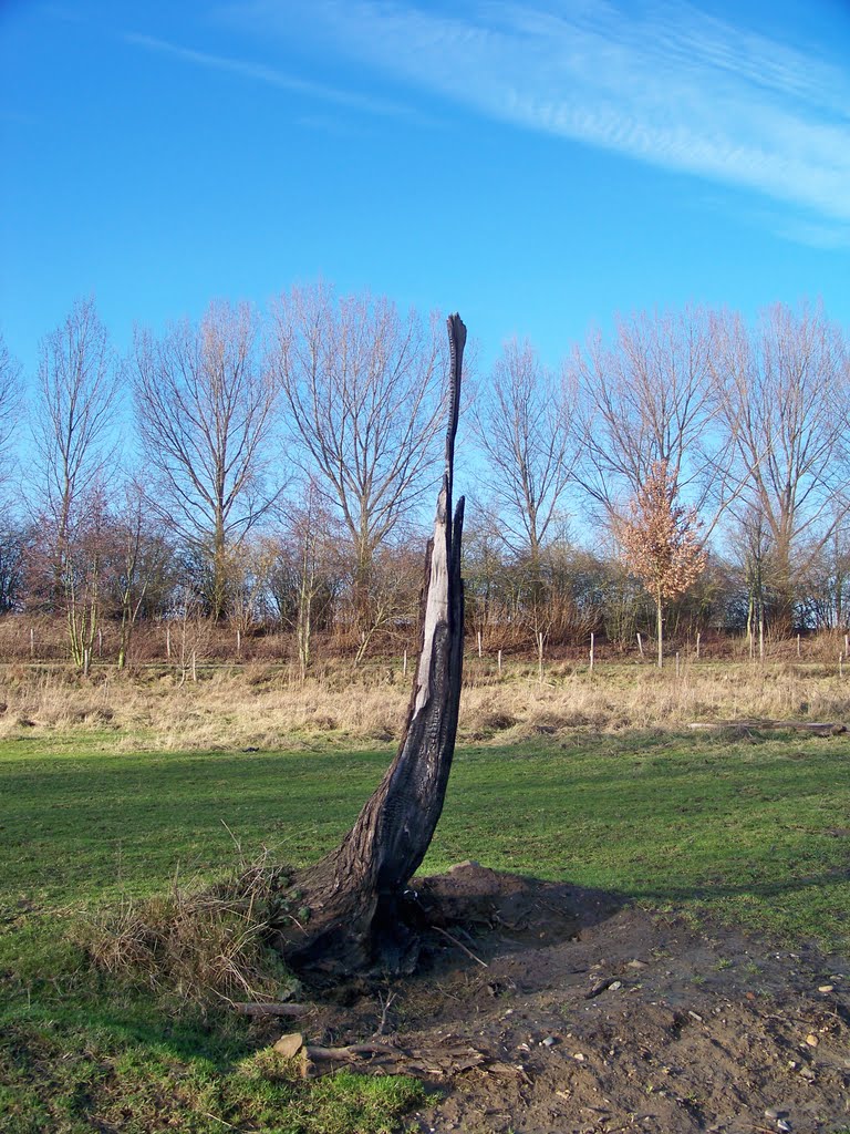 verrijzenis