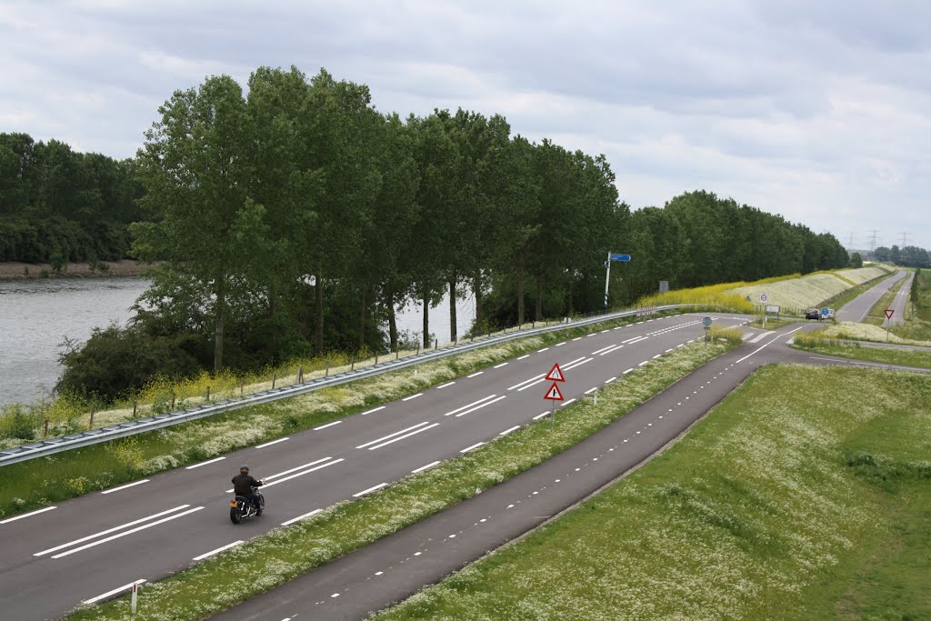 The Road