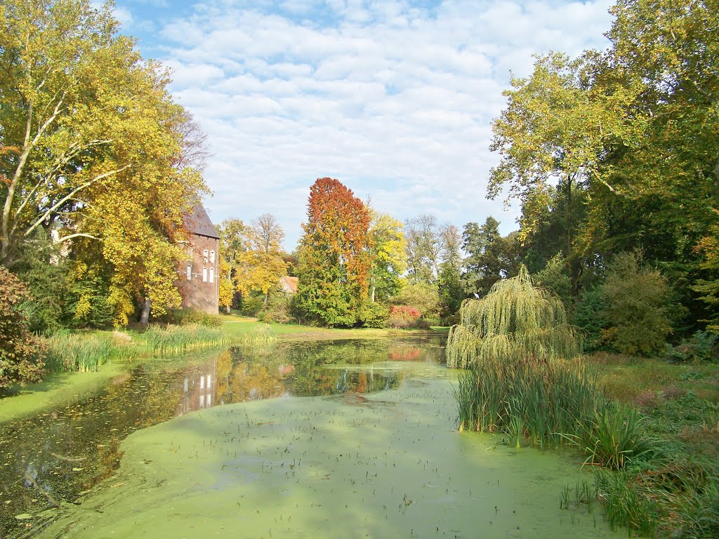 Kasteel Horn verborgen in de herfst