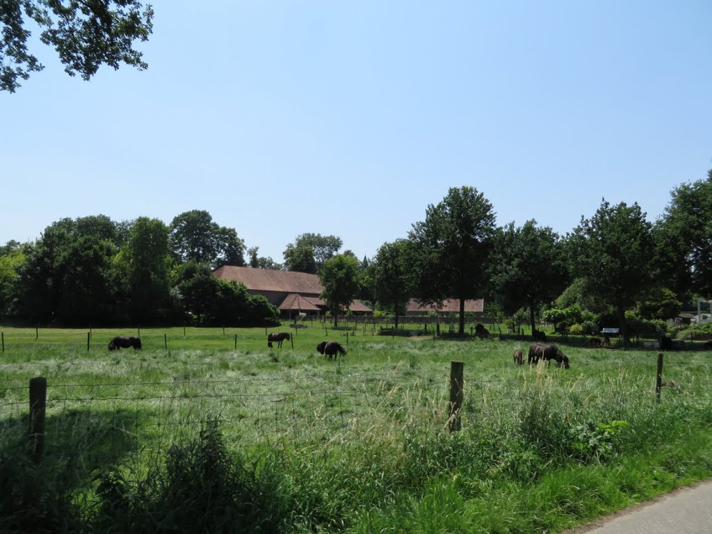 NL - Horn - Breeweg