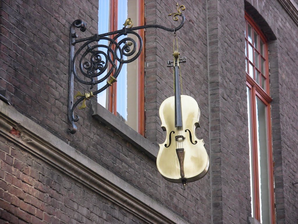 Violin