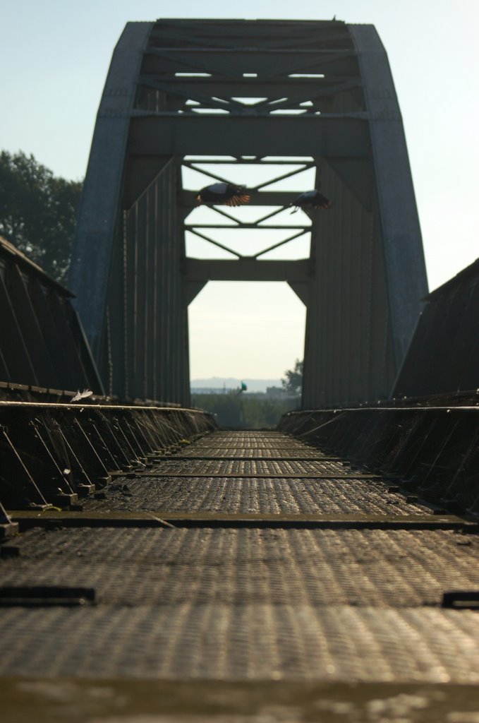 Maastricht. Old railway bridge, 1855.
