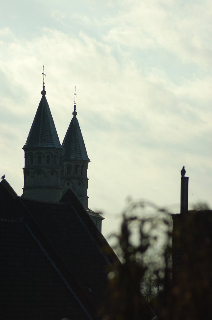 Maastricht. Basilica "Onze Lieve Vrouwe" and pigeon on chimney.