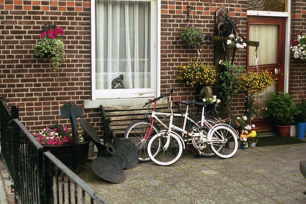 Bike