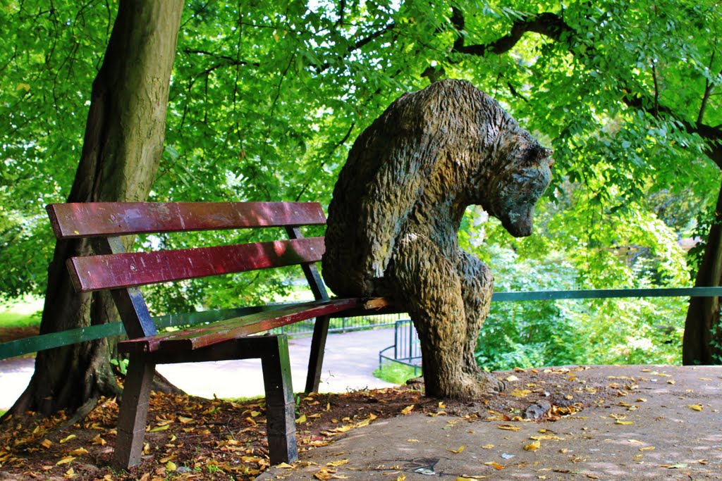 Bär Maastricht