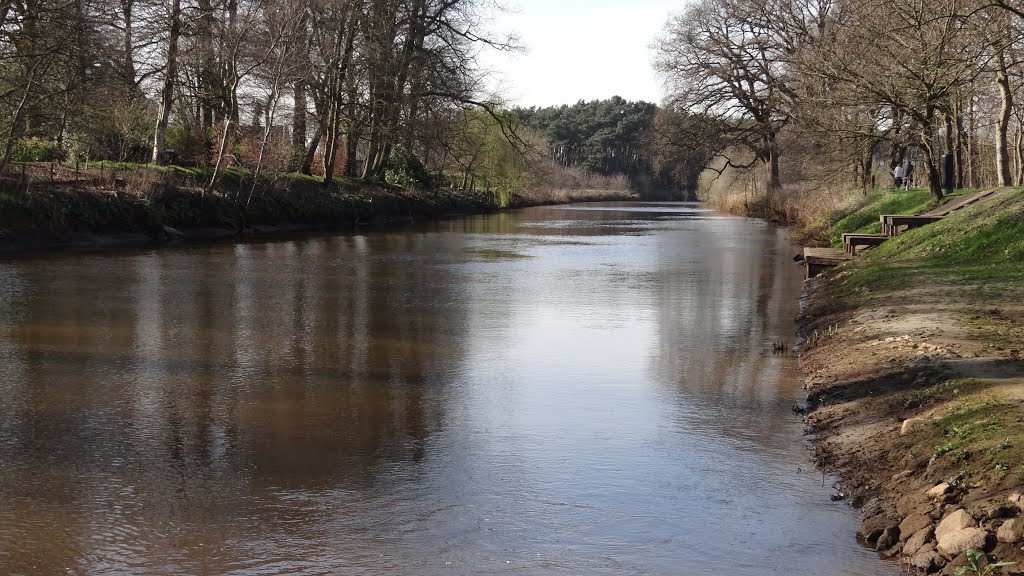 Beneden Regge