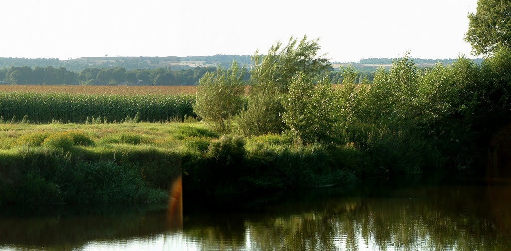 From River Reege to Archemer Hill