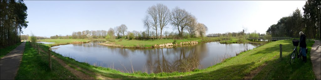 Meandering Regge, Panorama.