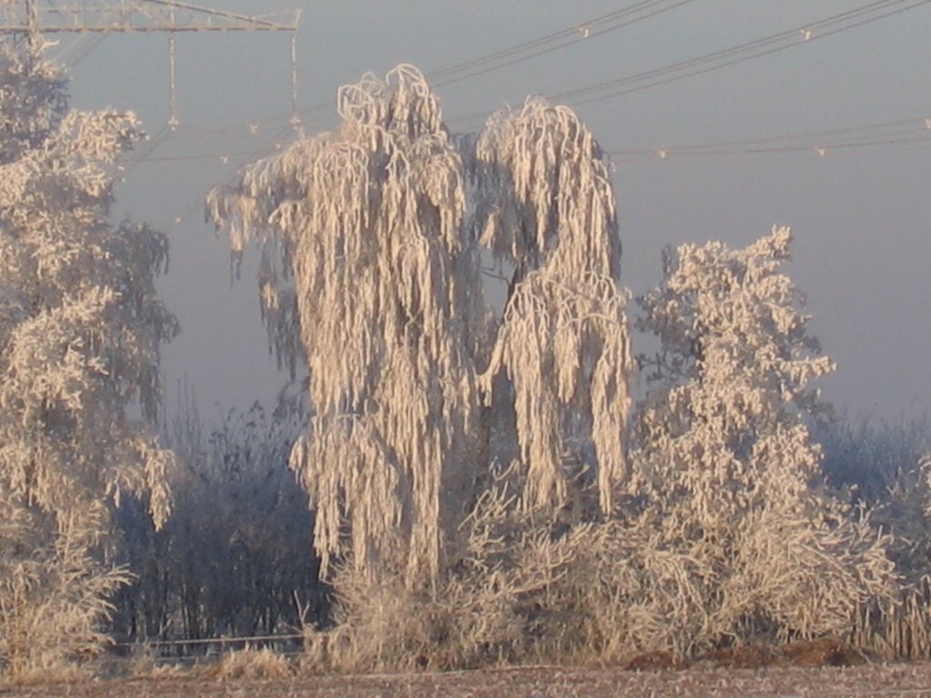 winter in hancate