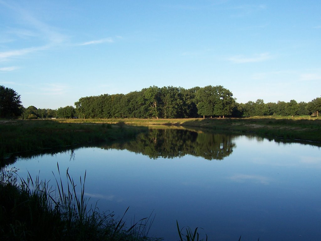 Spiegeling