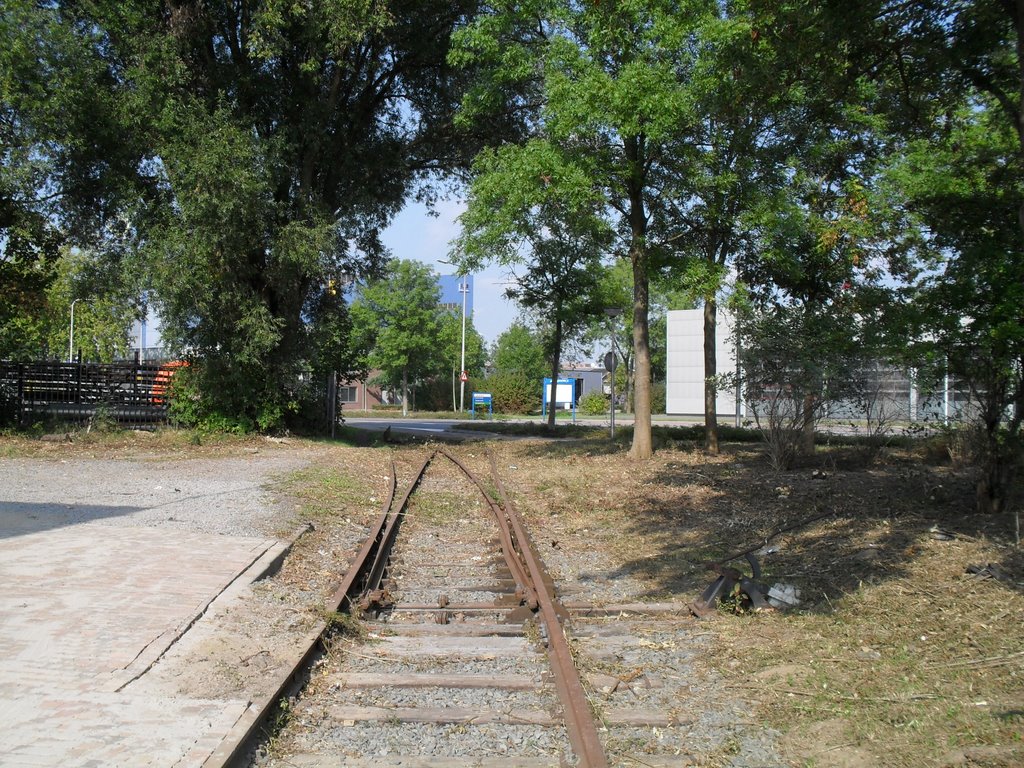 Spoorwissel, links of rechts af ? (sept. 2009)
