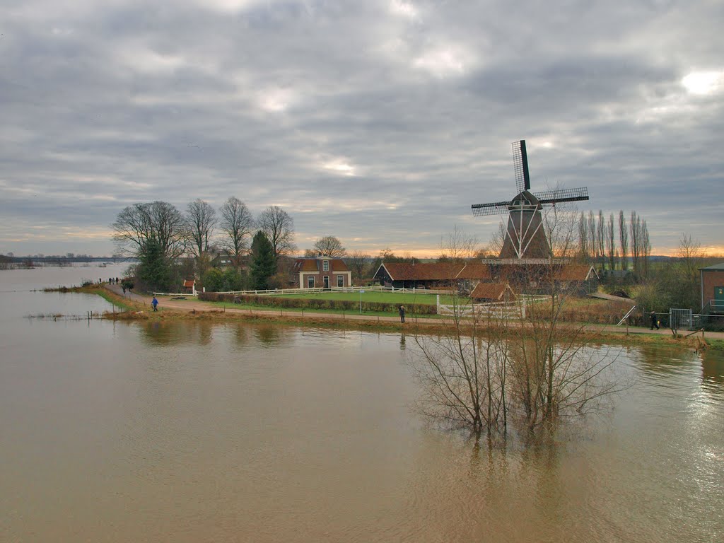 Hoog water IJssel flooded  Deventer