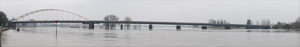 The IJssel bridge at high water