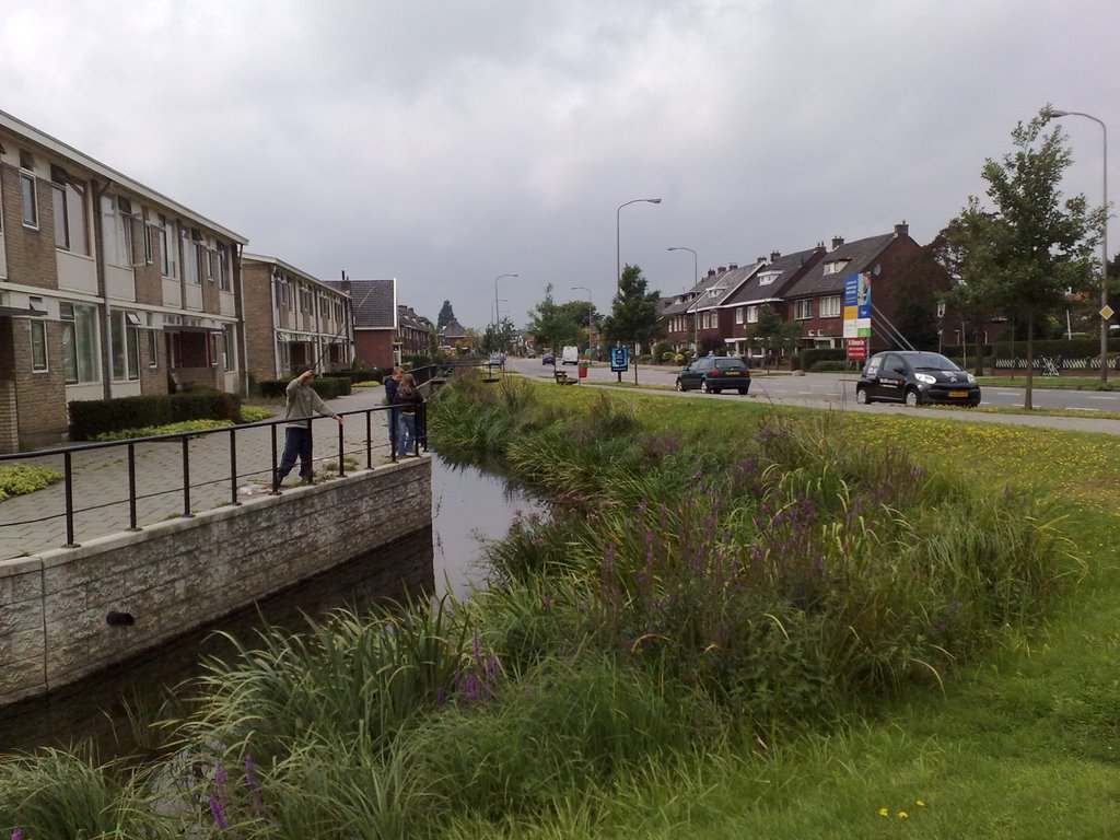 Berflobeek