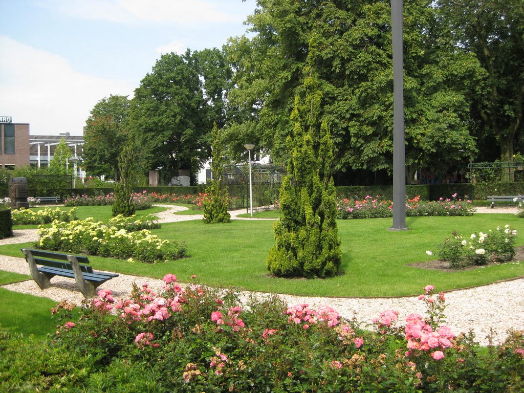 Vườn hoa - Flower Garden