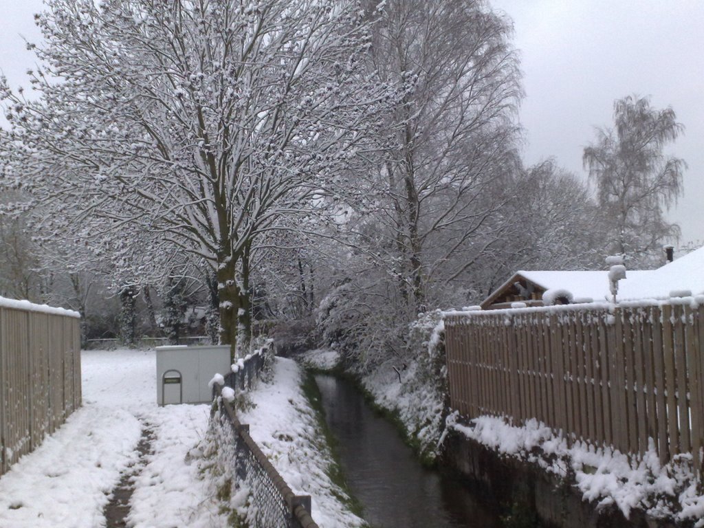 Berflobeek