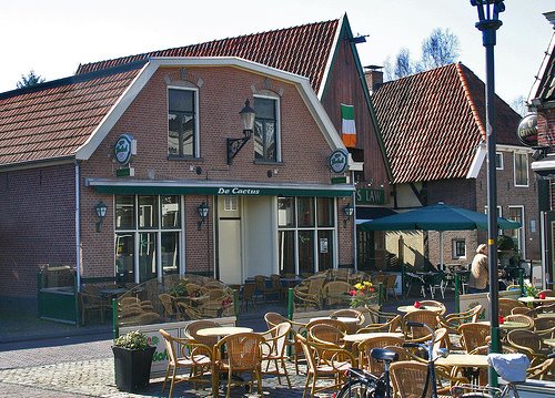 cafe de Cactus