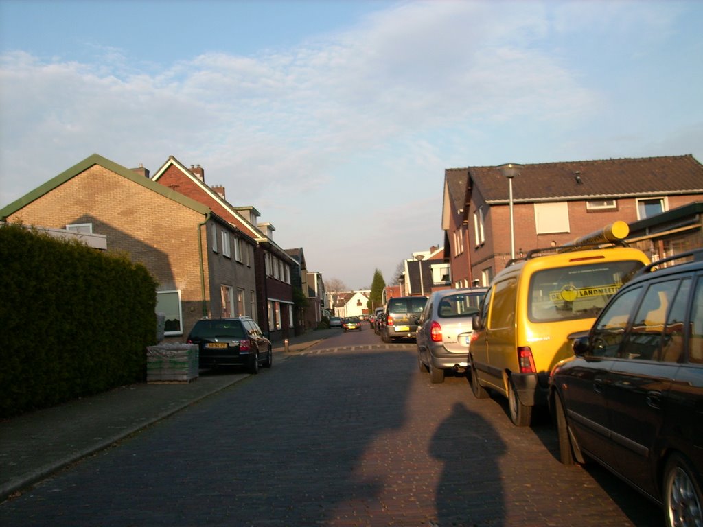 Meeuwenweg