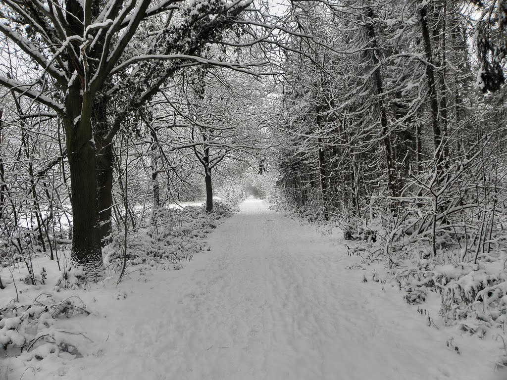 Veldwijk-Zuid